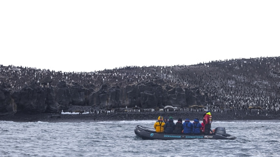 OTL30-25, Day 9, Zodiac cruise 1 © Sara Jenner - Oceanwide Expeditions.jpg