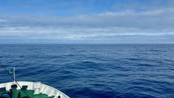 OTL30-25, Day 10, IMG_9506 © Unknown photographer - Oceanwide Expeditions.jpeg