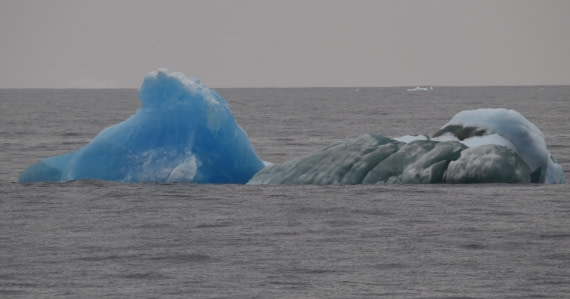 OTL30-25, Day 13, Blue and green © Unknown photographer - Oceanwide Expeditions.JPG