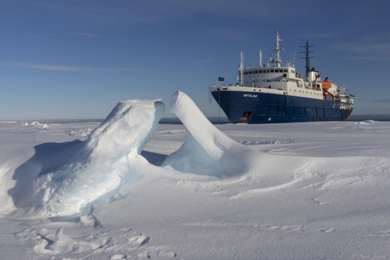 OTL30-25, Day 16, Ortleius © Sara Jenner - Oceanwide Expeditions.jpg