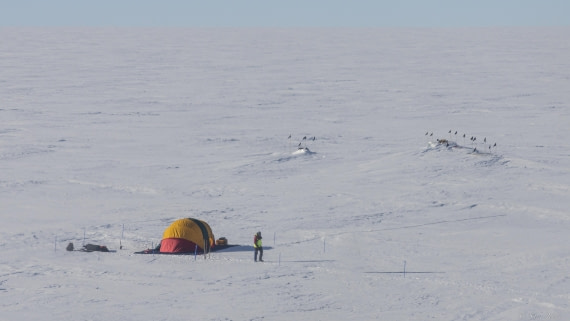 OTL30-25, Day 17, Gould Bay cache 1 © Sara Jenner - Oceanwide Expeditions.jpg