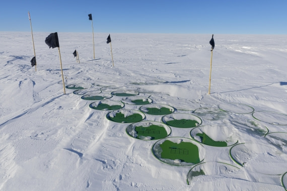 OTL30-25, Day 17, Gould Bay cache 9 © Sara Jenner - Oceanwide Expeditions.jpg