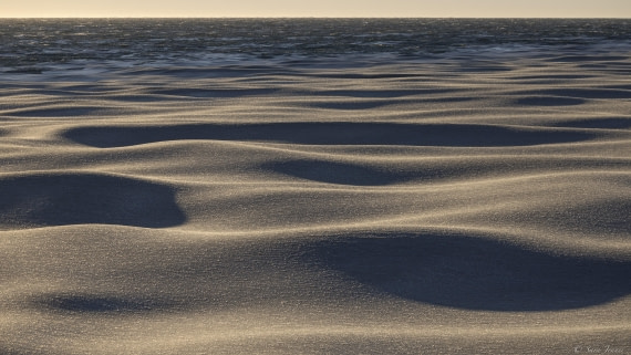 OTL30-25, Day 17, Pancake Ice 1 © Sara Jenner - Oceanwide Expeditions.jpg