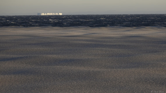 OTL30-25, Day 17, Pancake Ice 4 © Sara Jenner - Oceanwide Expeditions.jpg