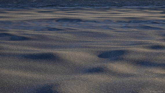 OTL30-25, Day 17, Pancake Ice 5 © Sara Jenner - Oceanwide Expeditions.jpg