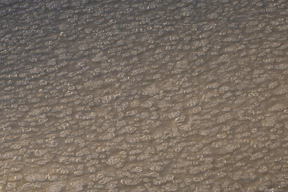 OTL30-25, Day 17, Pancake Ice 6 © Sara Jenner - Oceanwide Expeditions.jpg