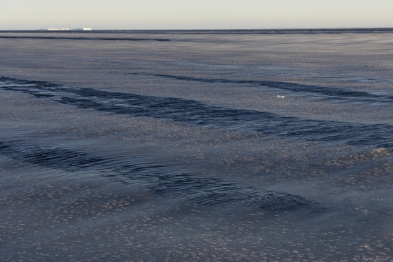 OTL30-25, Day 18, Sea freezing © Sara Jenner - Oceanwide Expeditions.jpg