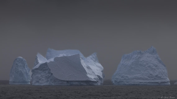 OTL30-25, Day 19, Iceberg (2) © Sara Jenner - Oceanwide Expeditions.jpg
