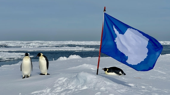 OTL30-25, Day 22, IMG_0860 © Unknown photographer - Oceanwide Expeditions.jpeg