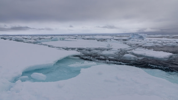 OTL30-25, Day 23, Sea ice landing 3 © Sara Jenner  - Oceanwide Expeditions.jpg