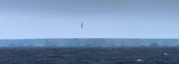 Flight over Iceberg A23a