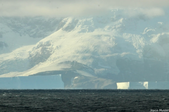 PLA31-25, Day 4, IMG_7355 © Joyce Mulder - Oceanwide Expeditions.jpg