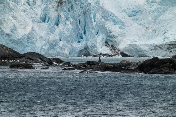 PLA31-25, Day 4, Point Wild © Mike Pumm - Oceanwide Expeditions.jpeg