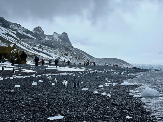 PLA31-25, Day 5, IMG_6653 © Unknown photographer - Oceanwide Expeditions.jpeg