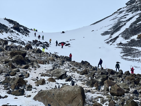 PLA31-25, Day 5, IMG_6655 © Unknown photographer - Oceanwide Expeditions.jpeg