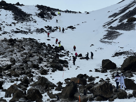 PLA31-25, Day 5, IMG_6657 © Unknown photographer - Oceanwide Expeditions.jpeg