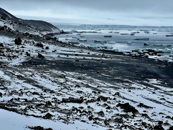 PLA31-25, Day 5, IMG_6666 © Unknown photographer - Oceanwide Expeditions.jpeg