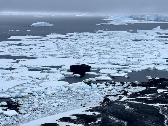 PLA31-25, Day 5, IMG_6669 © Unknown photographer - Oceanwide Expeditions.jpeg