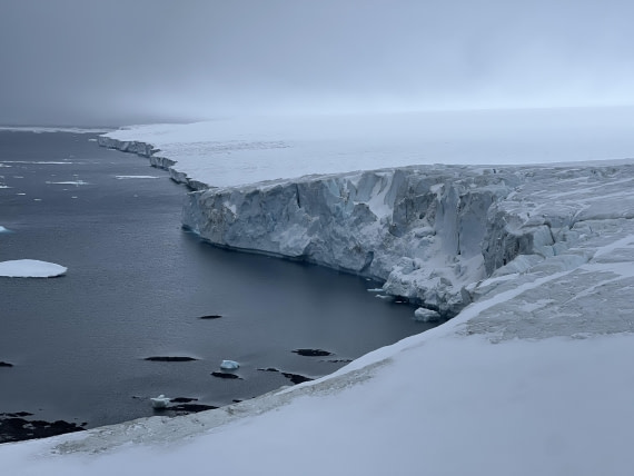 PLA31-25, Day 5, IMG_6671 © Unknown photographer - Oceanwide Expeditions.jpeg
