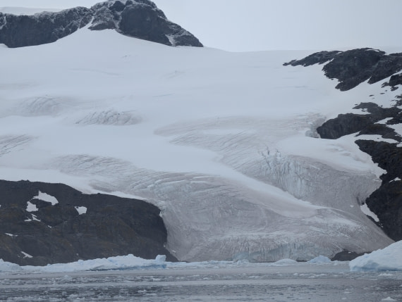 PLA31-25, Day 6, PXL_20250314_125003543 © Unknown photographer - Oceanwide Expeditions.jpg