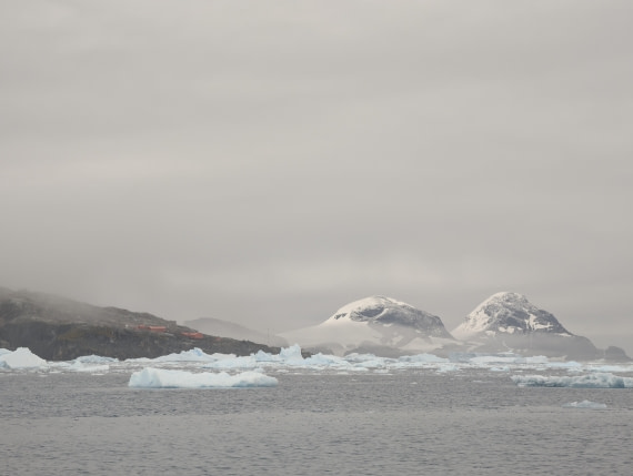 PLA31-25, Day 6, PXL_20250314_125018900 © Unknown photographer - Oceanwide Expeditions.jpg