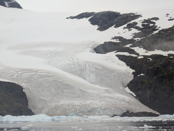 PLA31-25, Day 6, PXL_20250314_125402961 © Unknown photographer - Oceanwide Expeditions.jpg