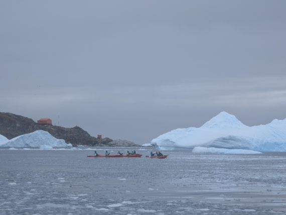 PLA31-25, Day 6, PXL_20250314_133504894 © Unknown photographer - Oceanwide Expeditions.jpg