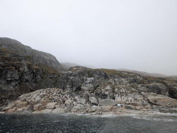 PLA31-25, Day 6, PXL_20250314_140128981 © Unknown photographer - Oceanwide Expeditions.jpg