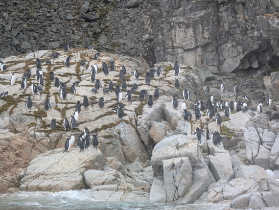 PLA31-25, Day 6, PXL_20250314_140134971 © Unknown photographer - Oceanwide Expeditions.jpg
