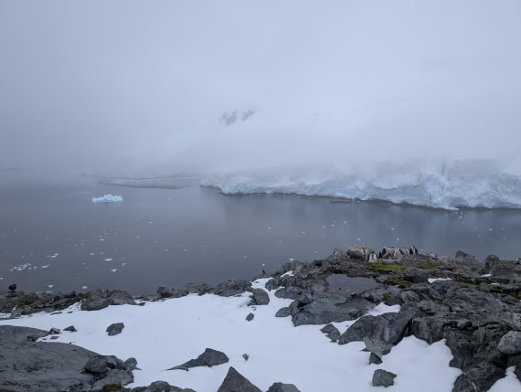 PLA31-25, Day 6, PXL_20250314_191315677 © Unknown photographer - Oceanwide Expeditions.jpg