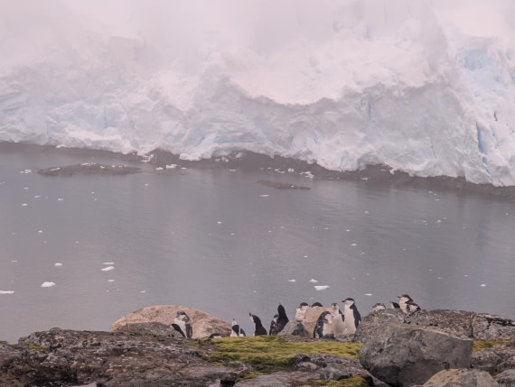PLA31-25, Day 6, PXL_20250314_191335915 © Unknown photographer - Oceanwide Expeditions.jpg