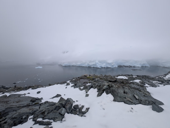 PLA31-25, Day 6, PXL_20250314_191348813 © Unknown photographer - Oceanwide Expeditions.jpg