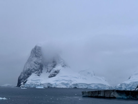 PLA31-25, Day 8, IMG_7809 © Unknown photographer - Oceanwide Expeditions.jpg