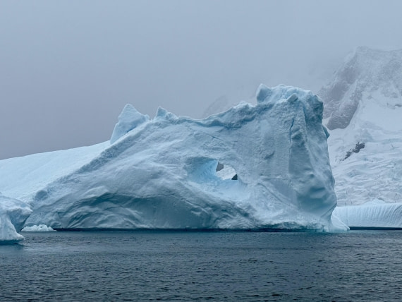 PLA31-25, Day 8, IMG_7833 © Unknown photographer - Oceanwide Expeditions.jpg