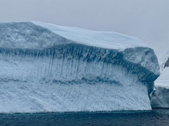 PLA31-25, Day 8, IMG_7839 © Unknown photographer - Oceanwide Expeditions.jpg
