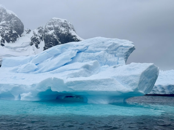 PLA31-25, Day 8, IMG_7842 © Unknown photographer - Oceanwide Expeditions.jpg