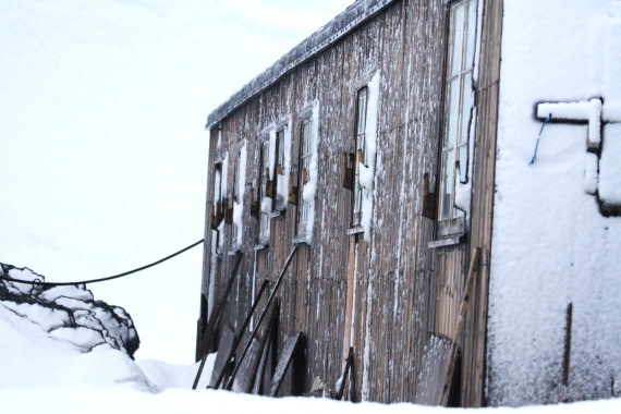 PLA31-25, Day 9, IMG_0974 © Unknown photographer - Oceanwide Expeditions.JPG