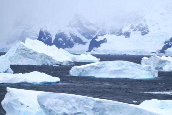 PLA31-25, Day 9, IMG_0989 © Unknown photographer - Oceanwide Expeditions.JPG
