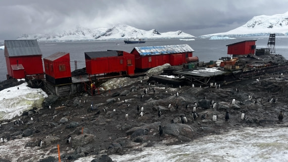 PLA31-25, Day 11, IMG_8125 © Unknown photographer - Oceanwide Expeditions.jpeg