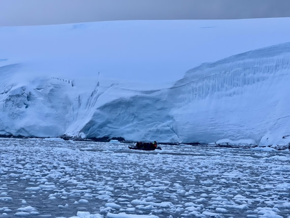 PLA31-25, Day 12, IMG_6941 2 © Unknown photographer - Oceanwide Expeditions.jpeg