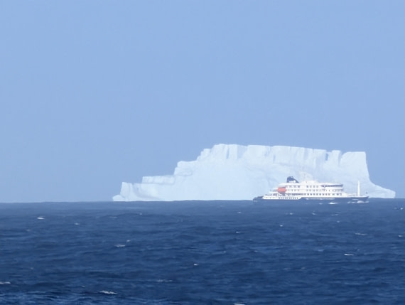 PLA31-25, Day 13, PXL_20250321_135710612 © Unknown photographer - Oceanwide Expeditions.jpg