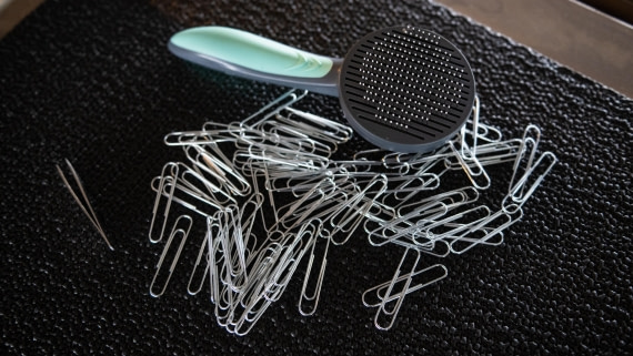 PLA31-25, Day 2, DSC_9308 © Unknown photographer - Oceanwide Expeditions.jpg