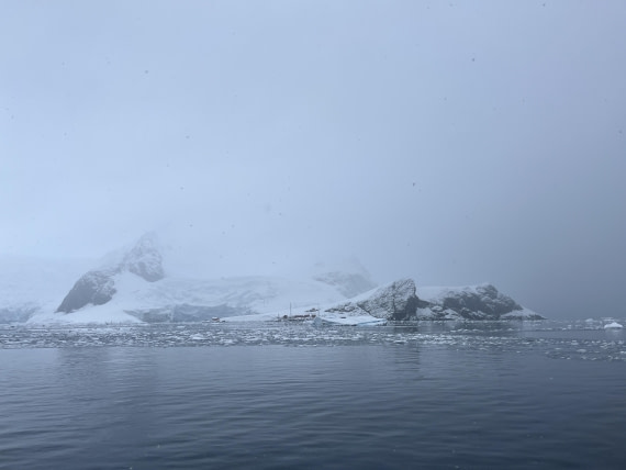 HDS30-25, Day 5, IMG_9698 © Unknown photographer - Oceanwide Expeditions.JPG