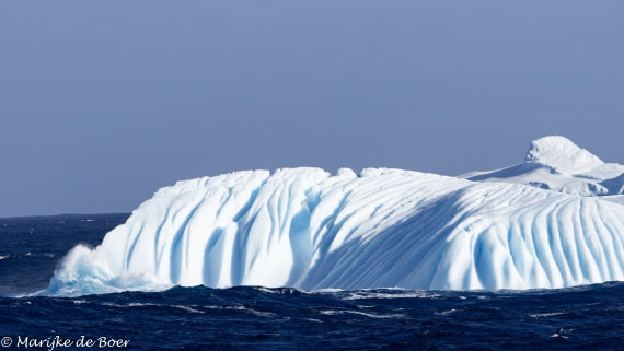 HDS30-25, Day 8, 20250321-398A4965 © Marijke de Boer - Oceanwide Expeditions.jpg
