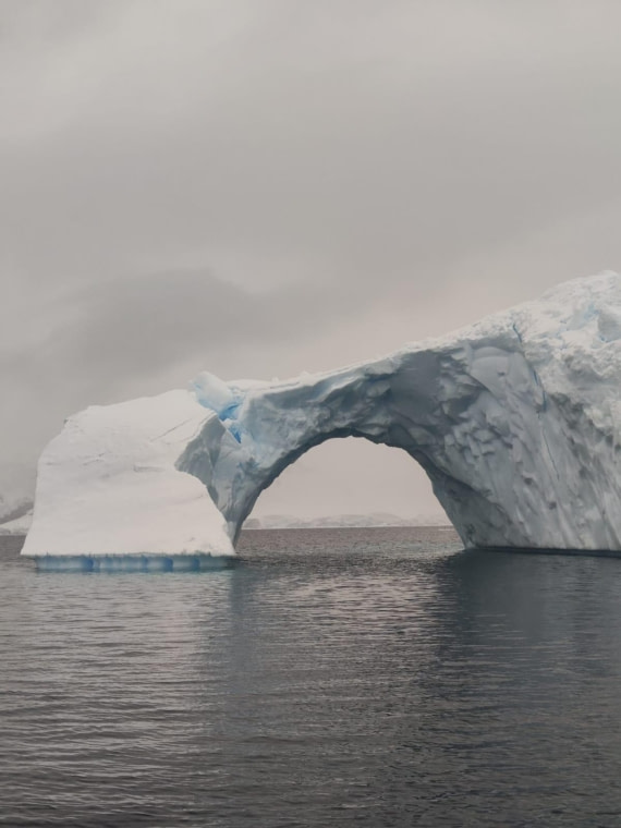 HDS30-25, Day 5, 04e7e9d1-0da5-4a93-b1a4-b25bf4b46249 © Unknown photographer - Oceanwide Expeditions.JPG
