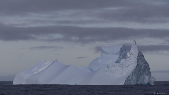OTL31-25, Day 3, First iceberg 3 © Sara Jenner - Oceanwide Expeditions.jpg