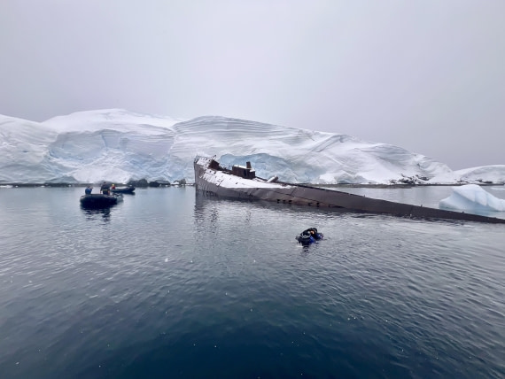 OTL31-25, Day 4, DiversGovernoren© Unknown photographer - Oceanwide Expeditions.jpg