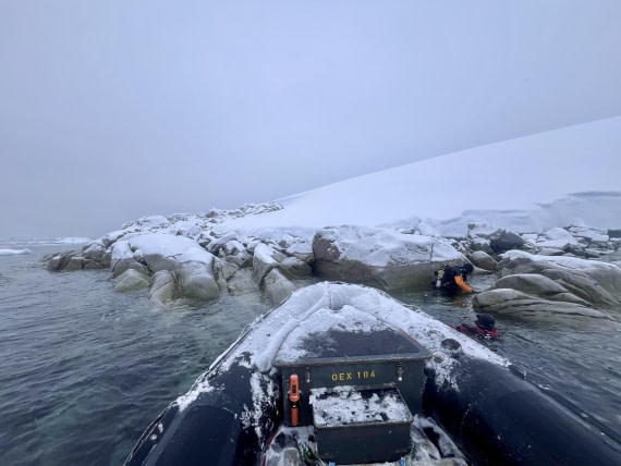 OTL31-25, Day 4, DiversPortalPoint© Unknown photographer - Oceanwide Expeditions.jpg