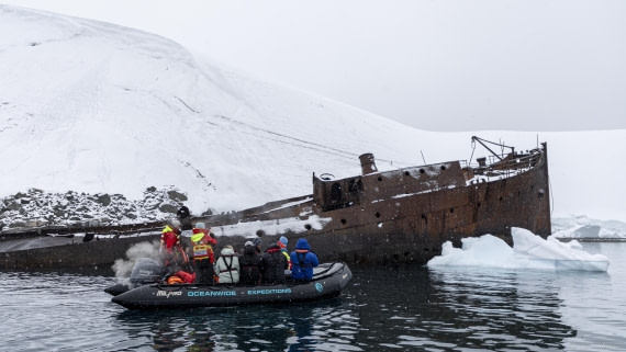 OTL31-25, Day 4, Foyn Harbour 1 © Sara Jenner - Oceanwide Expeditions.jpg
