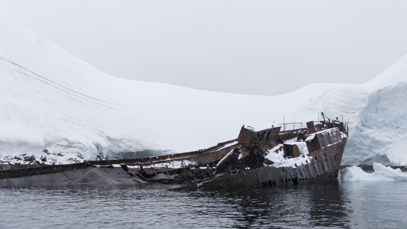 OTL31-25, Day 4, Foyn Harbour 2 © Sara Jenner - Oceanwide Expeditions.jpg
